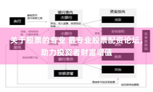 关于股票的专业 最专业股票配资论坛，助力投资者财富增值