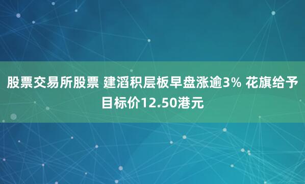 股票交易所股票 建滔积层板早盘涨逾3% 花旗给予目标价12.50港元